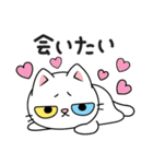 もち 猫（個別スタンプ：19）