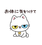 もち 猫（個別スタンプ：21）