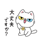もち 猫（個別スタンプ：22）