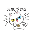 もち 猫（個別スタンプ：30）