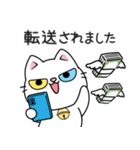 もち 猫（個別スタンプ：37）
