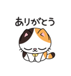 ミロ猫（個別スタンプ：3）