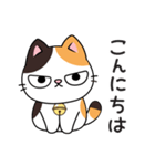 ミロ猫（個別スタンプ：5）