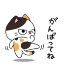 ミロ猫（個別スタンプ：12）