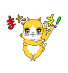 ねこ umi 2（個別スタンプ：40）