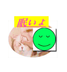 動くクソダサデザイン（個別スタンプ：3）