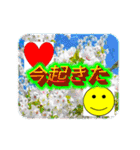 動くクソダサデザイン（個別スタンプ：4）