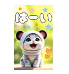 パンダ帽がキュートな猫 ずっと使えるBIG（個別スタンプ：13）