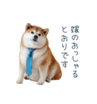 実写旦那用しば犬【日常会話・夫婦・連絡】（個別スタンプ：2）