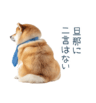実写旦那用しば犬【日常会話・夫婦・連絡】（個別スタンプ：4）