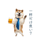 実写旦那用しば犬【日常会話・夫婦・連絡】（個別スタンプ：12）