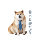 実写旦那用しば犬【日常会話・夫婦・連絡】（個別スタンプ：14）