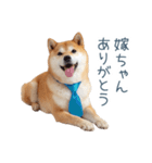 実写旦那用しば犬【日常会話・夫婦・連絡】（個別スタンプ：19）