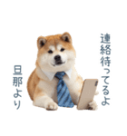 実写旦那用しば犬【日常会話・夫婦・連絡】（個別スタンプ：21）