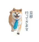 実写旦那用しば犬【日常会話・夫婦・連絡】（個別スタンプ：22）