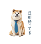 実写旦那用しば犬【日常会話・夫婦・連絡】（個別スタンプ：23）