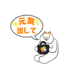ペンペとピンピ  毎日使える可愛いスタンプ（個別スタンプ：14）
