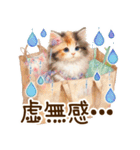 思いやりの真夏の水彩猫❁⃘*（個別スタンプ：28）