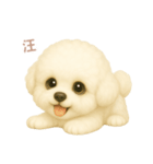 ワンだふる｜ビションフリーゼ【台湾語】（個別スタンプ：2）