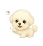 ワンだふる｜ビションフリーゼ【台湾語】（個別スタンプ：3）