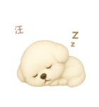 ワンだふる｜ビションフリーゼ【台湾語】（個別スタンプ：4）