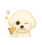 ワンだふる｜ビションフリーゼ【台湾語】（個別スタンプ：5）