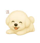 ワンだふる｜ビションフリーゼ【台湾語】（個別スタンプ：11）