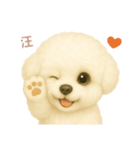 ワンだふる｜ビションフリーゼ【台湾語】（個別スタンプ：16）
