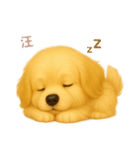 ワンだふる｜ゴールデン【台湾語】（個別スタンプ：4）