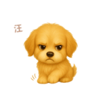 ワンだふる｜ゴールデン【台湾語】（個別スタンプ：13）