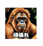 ほのぼのスマトラオラン・ウータン劇場（個別スタンプ：9）