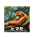 ほのぼのスマトラオラン・ウータン劇場（個別スタンプ：18）