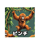 ほのぼのスマトラオラン・ウータン劇場（個別スタンプ：19）
