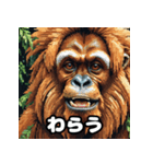 ほのぼのスマトラオラン・ウータン劇場（個別スタンプ：31）