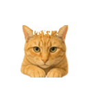 小花達の表情スタンプ（台湾華語）（個別スタンプ：4）