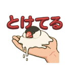 溶けてる文鳥（個別スタンプ：4）