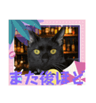 BAR 魔の巣開店記念（個別スタンプ：12）