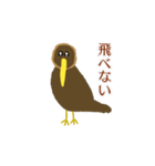 毎日使える飛べない鳥【キーウィ】（個別スタンプ：2）