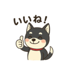 黒柴ナナちゃん日常会話（個別スタンプ：3）