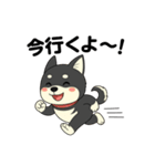 黒柴ナナちゃん日常会話（個別スタンプ：8）