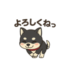 黒柴ナナちゃん日常会話（個別スタンプ：21）