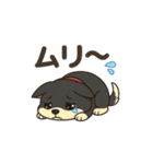 黒柴ナナちゃん日常会話（個別スタンプ：22）