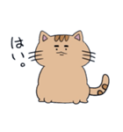 ちょっと可愛い猫と魚（個別スタンプ：4）