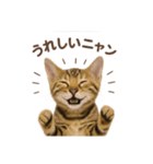 子ネコverベンガル（個別スタンプ：1）