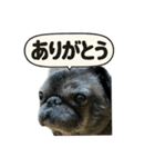 スタンプ茂造（個別スタンプ：4）