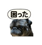 スタンプ茂造（個別スタンプ：8）