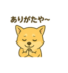 ハニです！スタンプ（個別スタンプ：5）
