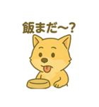 ハニです！スタンプ（個別スタンプ：31）