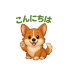 推しワン★ころころコーギーの毎日スタンプ（個別スタンプ：4）