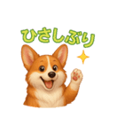推しワン★ころころコーギーの毎日スタンプ（個別スタンプ：35）
